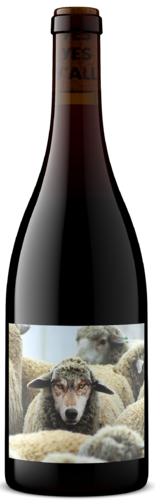 In Sheep Pinot Noir 23